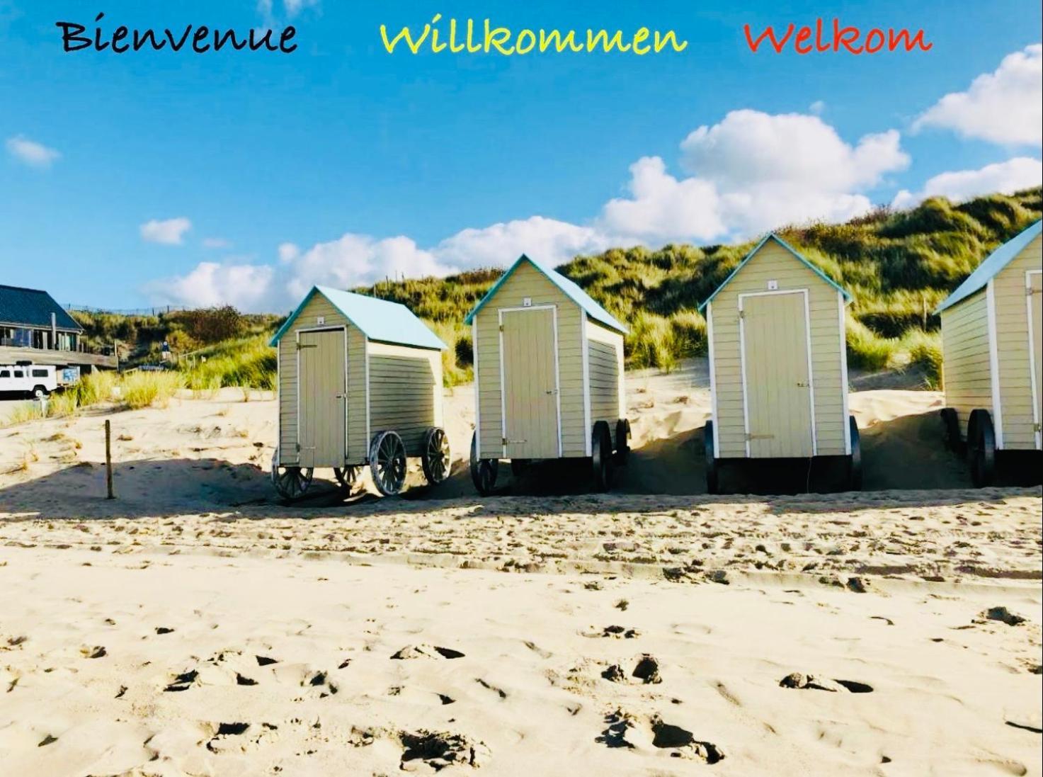 La Cabane De La Mer ブレーデネ エクステリア 写真